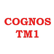 Cognos TM1 Training in College To Corporate