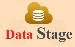 Datastage Training in College To Corporate