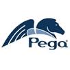 Pega Training in College to Corporate